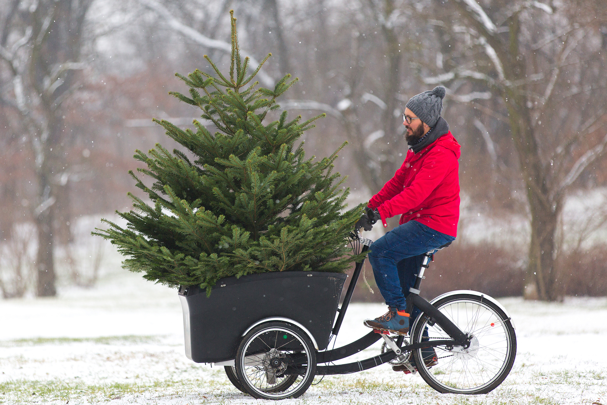 | du af med dit juletræ i Aarhus Kredsløb